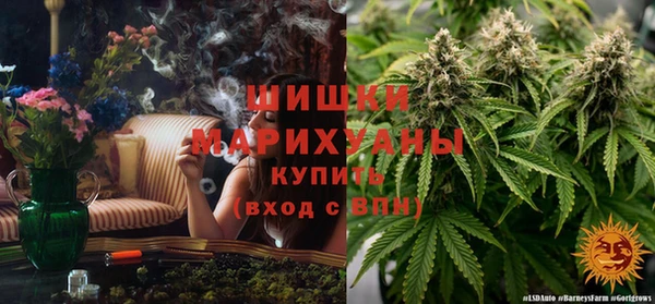 бошки Бронницы