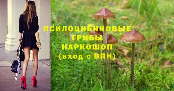бошки Бронницы